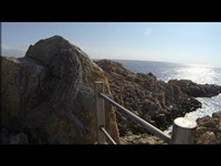 足摺半島の竜王神社　８分２７秒に起きた驚愕の映像