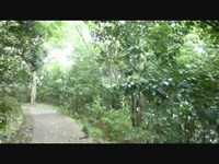 【岡山散策企画】三野公園【第1弾】