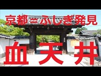 【京都観光】京都＝ふしぎ発見 ⑨「血天井」