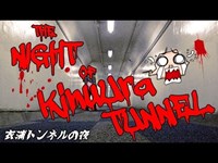 The Night of KinuUra Tunnel 衣浦トンネルの夜
