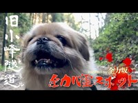 全力心霊スポット「旧小峰トンネル」inspired　by 全力坂 コテツ