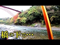 【衝撃】多摩川で渓流釣りしてたら釣りどころじゃなくなった。