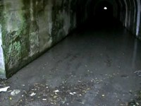 畑野浦林道　恐怖のトンネル #2