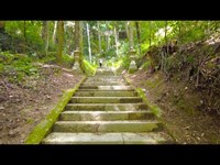 【岡山県北のサムハラ神社 】ネットで「神様に呼ばれた人だけ行ける」「動画見るだけでご利益」で話題