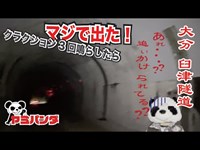【心霊】数々の心霊系ユーチューバーが震え上がった臼津隧道 クラクション3回に便乗したらガチでした。怖すぎて動けないパンダ（前編）