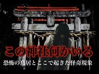 【心霊調査】恐怖の鳥居とここで起きた怪奇現象　Japanese haunted place survey