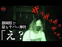 恐怖！何かが来る！静岡県のヤバいスポット「ニ岡神社」へ決死のひとりぼっち大突撃スペシャル