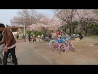 住之江公園歩き撮り   2019.04.04