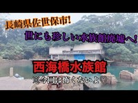 【長崎県】世にも珍しい水族館廃墟「西海橋水族館」へ潜入！！