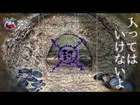 【HWM #3】奈良時代のお墓?!　十五郎穴に潜む恐怖に驚愕！茨城最恐心霊スポットを調査せよ！
