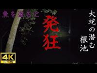 【心霊】大蛇の祟りで発狂する根池【ゲッティ】-Japanese haunted places-