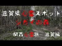 スーパーカブで行く、一人心霊スポット　滋賀県シガイの森