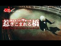 【心霊映像】惹きこまれる橋の飛び込む声と這い上がる手 …心霊調査ドキュメンタリー東日本最恐甲信越編｜Japanese horror